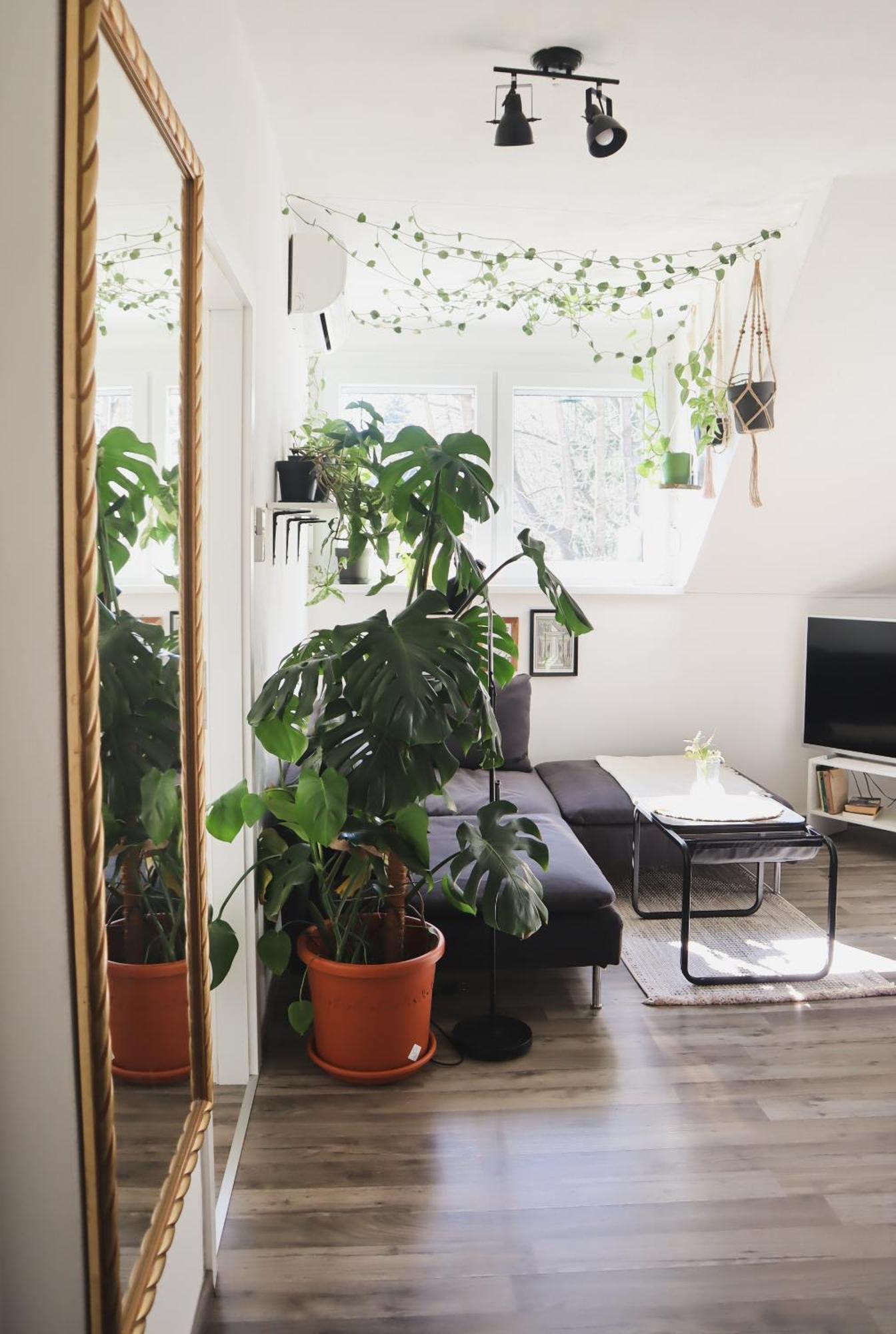 Urban Jungle Apartment - Free Parking Ljubljana Dış mekan fotoğraf