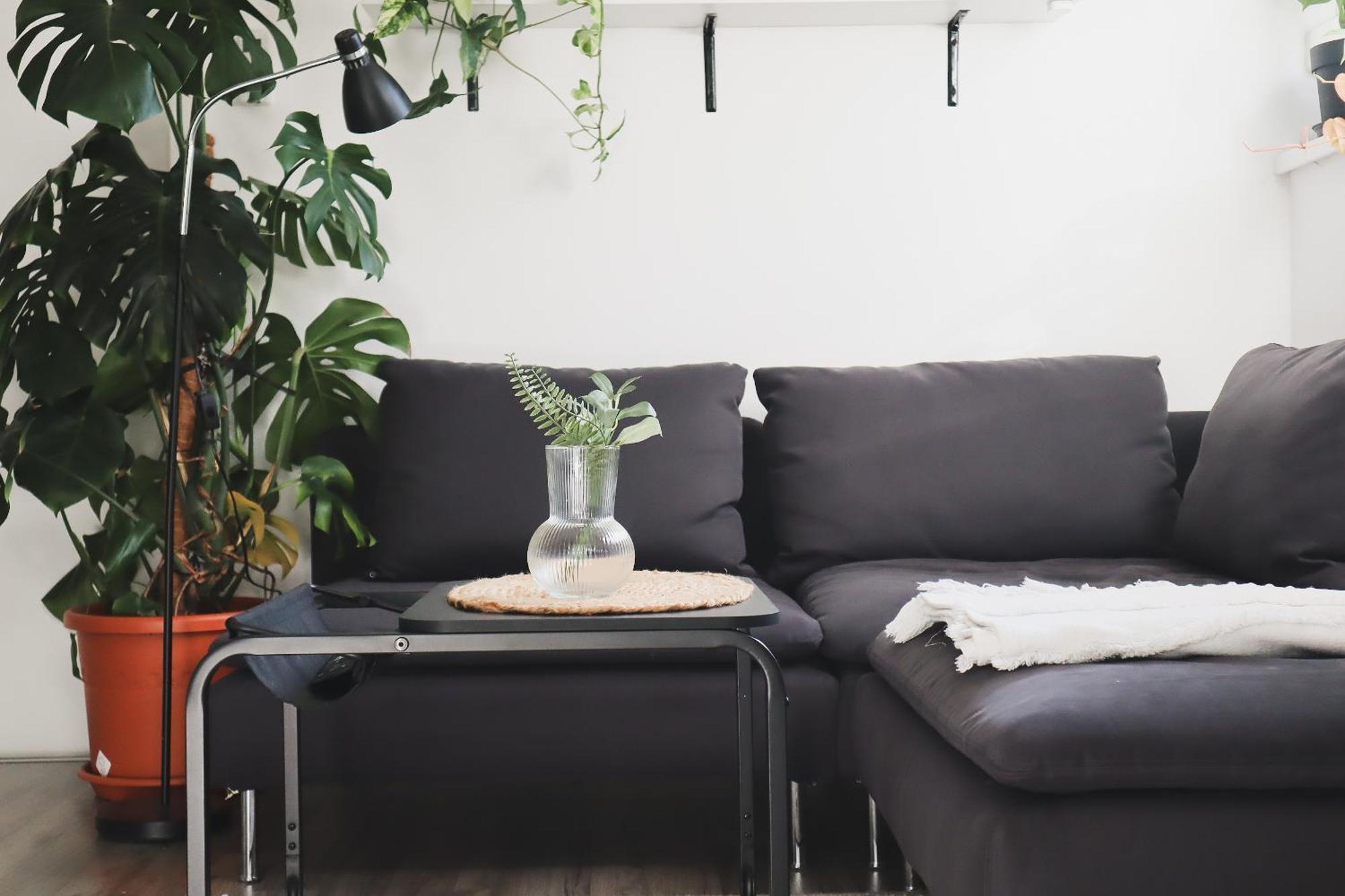 Urban Jungle Apartment - Free Parking Ljubljana Dış mekan fotoğraf