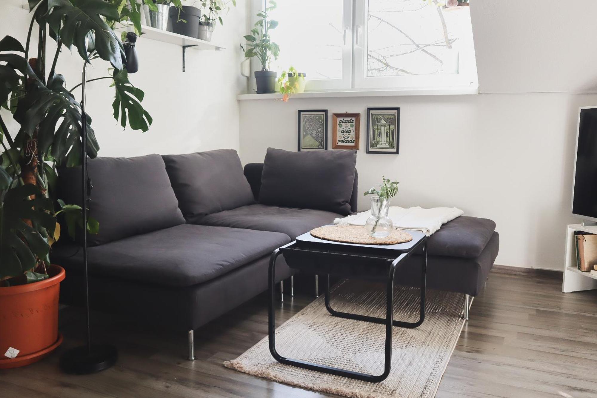 Urban Jungle Apartment - Free Parking Ljubljana Dış mekan fotoğraf