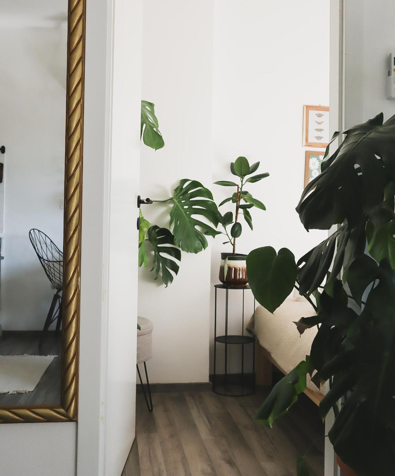 Urban Jungle Apartment - Free Parking Ljubljana Dış mekan fotoğraf