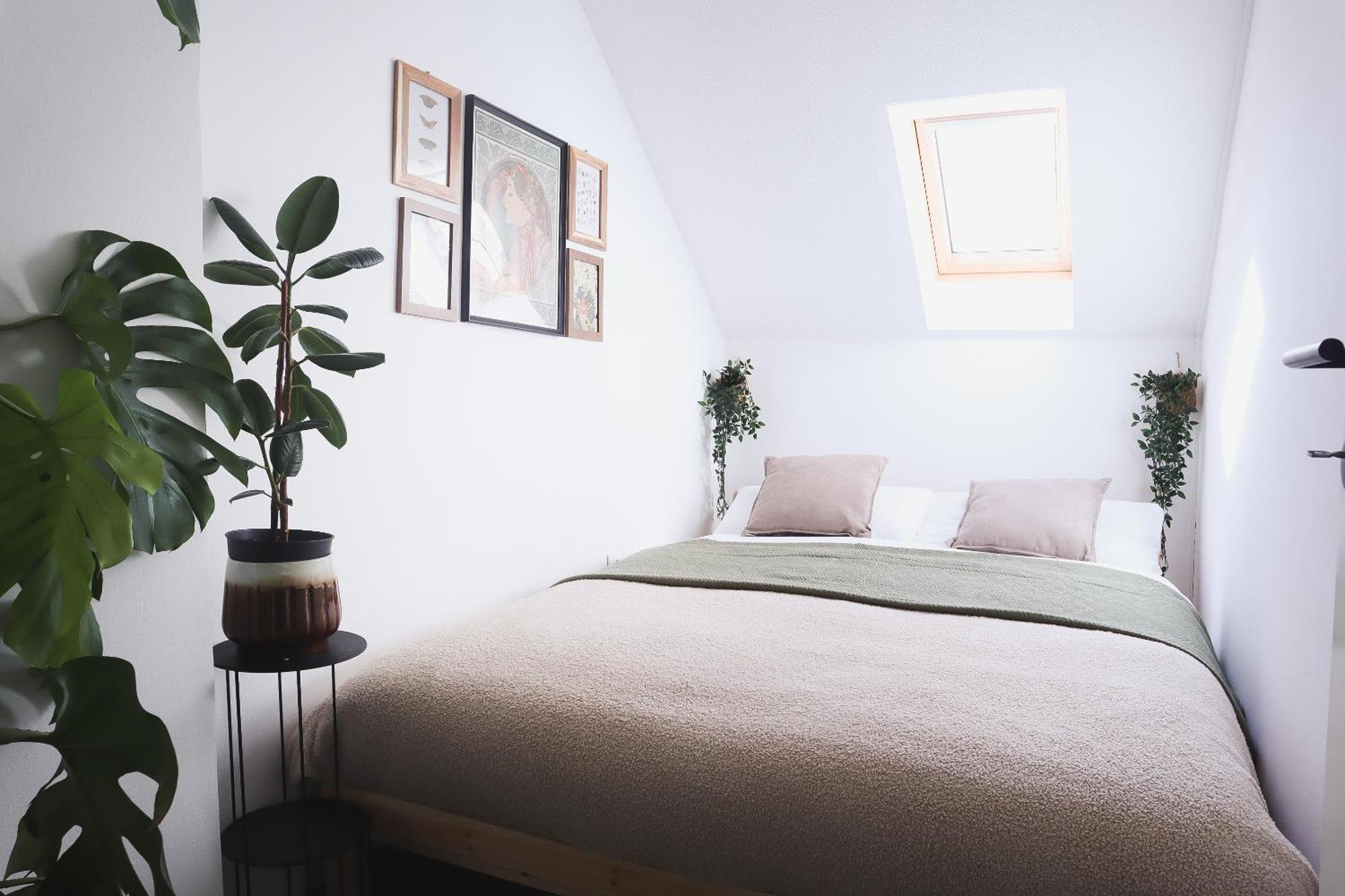 Urban Jungle Apartment - Free Parking Ljubljana Dış mekan fotoğraf